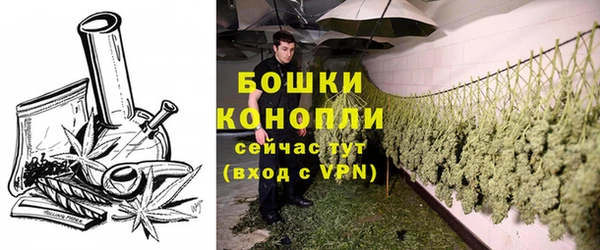 дживик Канск