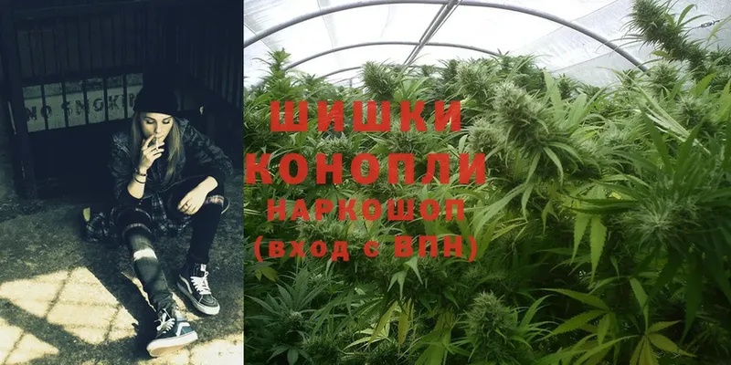 магазин  наркотиков  Кемь  ссылка на мегу ссылка  Бошки Шишки SATIVA & INDICA 